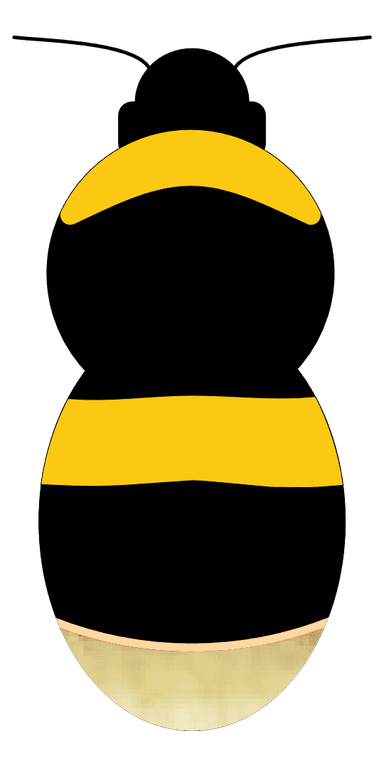 QUEEN diagram