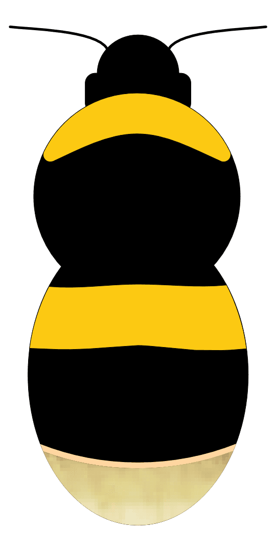 QUEEN diagram