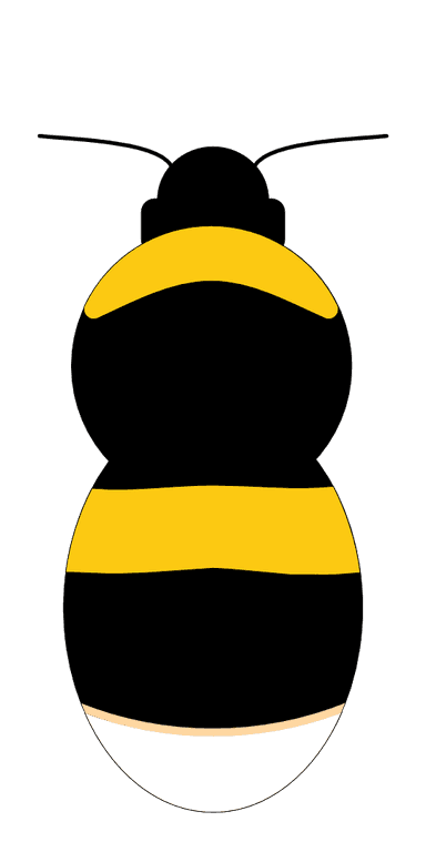 MALE diagram