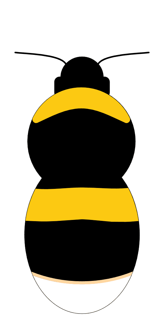 MALE diagram