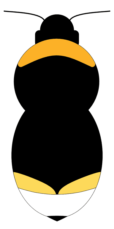 FEMALE diagram