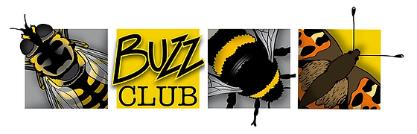 Buzz Club Logo