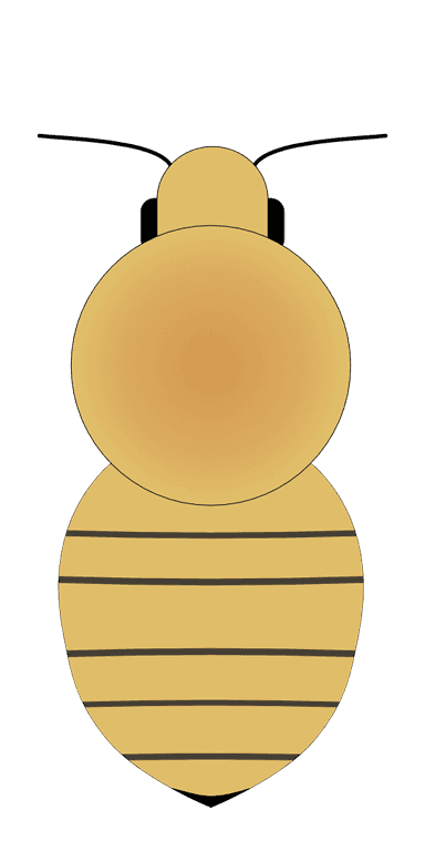 MALE diagram